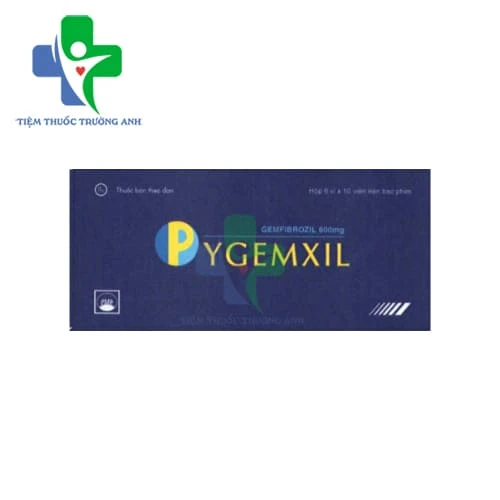 Pygemxil 600mg Pymepharco - Thuốc điều trị tăng lipid huyết