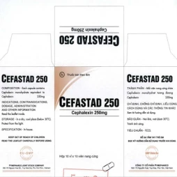 Cefastad 250 - Thuốc điều trị nhiễm khuẩn hiệu quả của Pymepharco