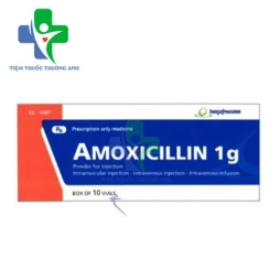 Amoxicillin 1g Imexpharm