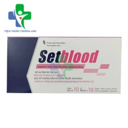 Setblood Hataphar - Điều trị triệu chứng do thiếu vitamin nhóm B