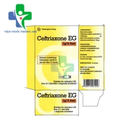 Ceftazidime EG 1g - Bột pha tiêm truyền điều trị nhiễm khuẩn hiệu quả