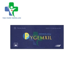 Pygemxil 600mg Pymepharco - Thuốc điều trị tăng lipid huyết