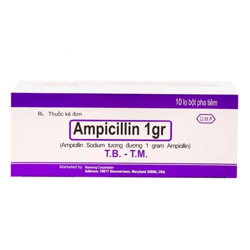 Ampicillin - Thuốc điều trị bệnh nhiễm khuẩn của Reyoung Pharma