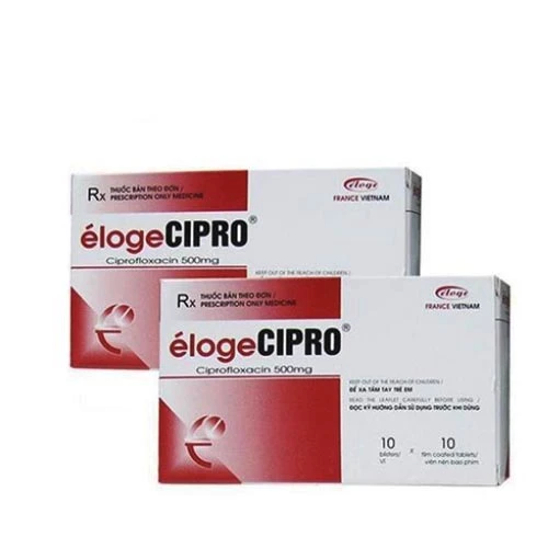 Eloge Cipro 500 - Thuốc kháng sinh điều trị nhiễm khuẩn hiệu quả