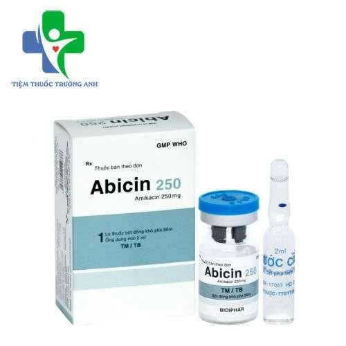 Abicin 250 Bidiphar - Chỉ định các trường hợp nhiễm khuẩn