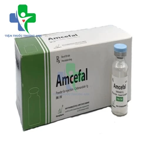 Amcefal 2g - Thuốc điều trị nhiễm khuẩn hiệu quả