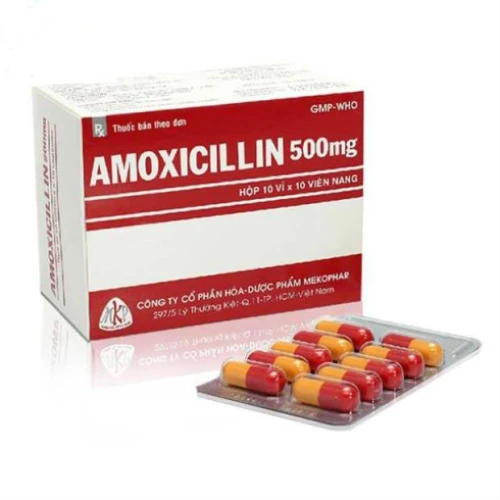 Amoxicilin 500mg - Thuốc điều trị nhiễm khuẩn đường hô hấp hiệu quả