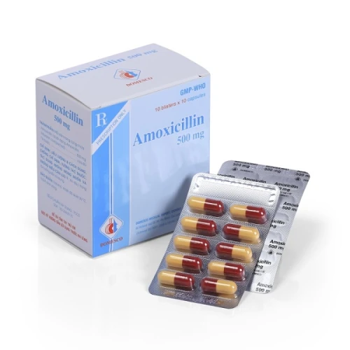 Amoxicillin 500Mg 10 Vỉ x 10 Viên