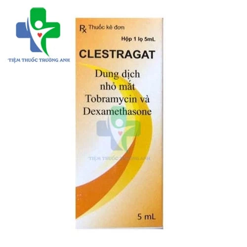 Clestragat 5ml - Thuốc nhỏ mắt điều trị các trường hợp viêm mắt