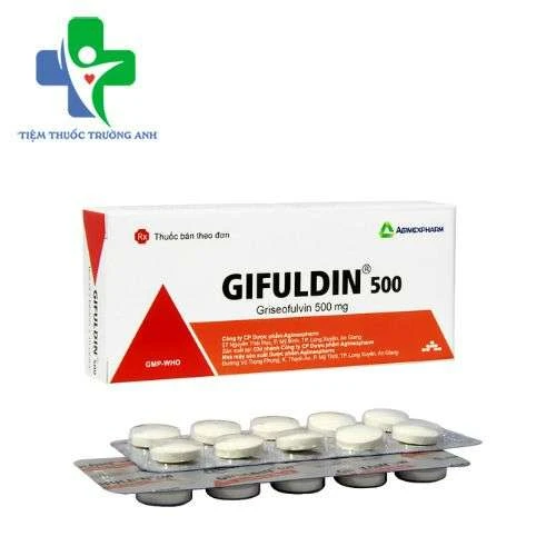 Gifuldin 500 Agimexpharm - Điều trị các bệnh nhiễm nằm ngoài da