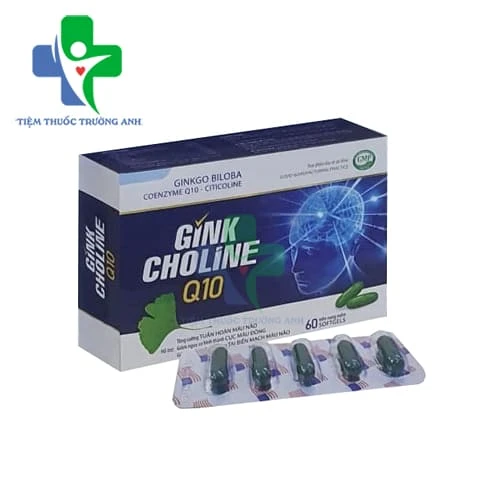 Gink Choline Q10 - Hỗ trợ hoạt huyết, tăng cường tuần hoàn máu não