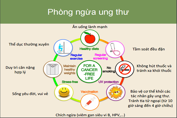 Các phương pháp điều trị cũng như phòng tránh ung thư gan