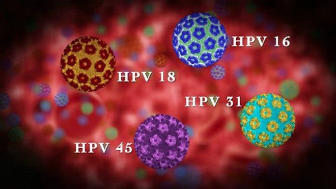 Tìm hiểu về virus HPV và cách virus HPV gây ung thư cổ tử cung