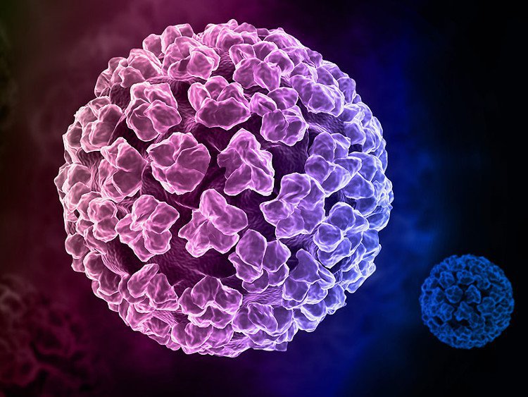 Tìm hiểu về virus HPV và cách virus HPV gây ung thư cổ tử cung