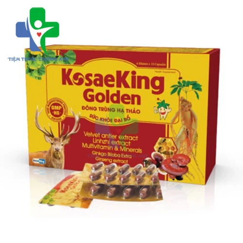 KosaeKing Golden Dolexphar - Giúp giảm tình trạng suy nhược, chán ăn