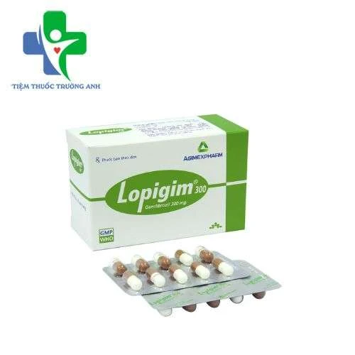 Lopigim 300 Agimexpharm - Điều trị tăng lipid huyết tiên phát nặng
