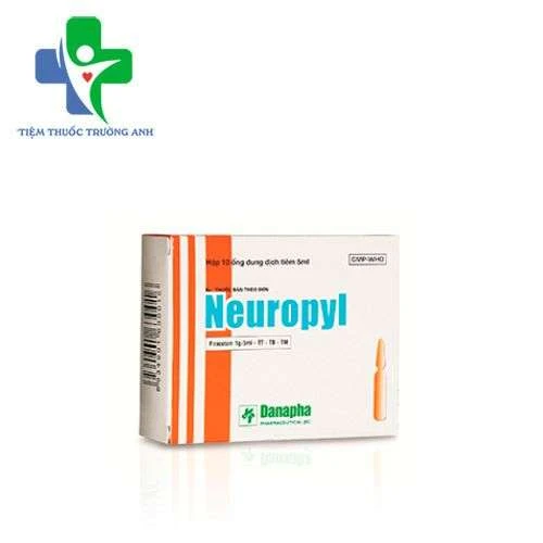 Neuropyl 1g/5ml Danapha - Điều trị chứng chóng mặt