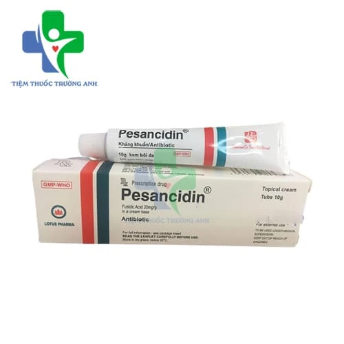Pesancidin Cream 10g - Thuốc điều trị nhiễm trùng da