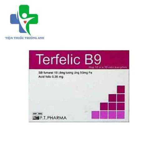 Terfelic B9 F.T Pharma - Phòng và điều trị các bệnh thiếu máu do thiếu sắt