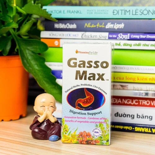 Thảo Dược Hỗ Trợ Dạ Dày Gasso Max Vitamins For Life 30 Viên