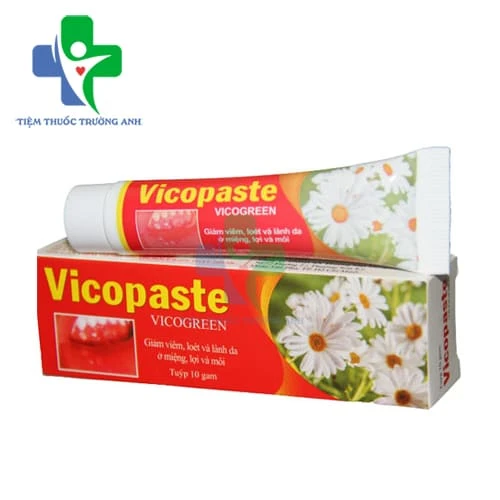 Vicopaste 10g - Hỗ trợ điều trị nhiệt miệng, ngừa sâu răng hiệu quả