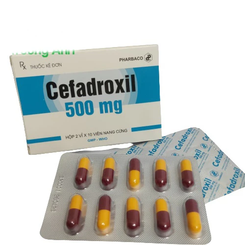 Cefadroxil 500mg - Thuốc điều trị bệnh nhiễm khuẩn của Pharbaco