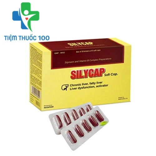 Silycap 100mg - Thuốc điều trị tổn thương gan, giải độc gan hiệu quả