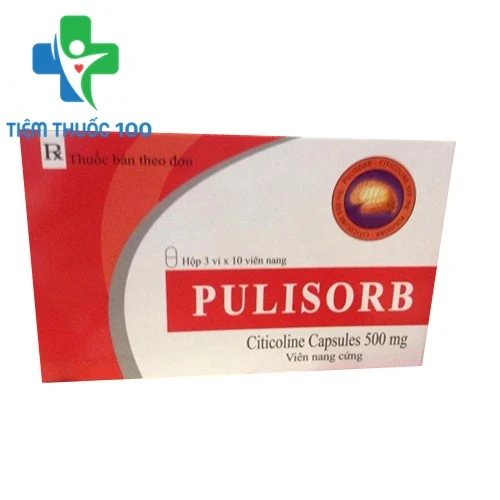 Pulisorb 500mg - Thuốc điều trị rối loạn mạch máu não của Trung Quốc