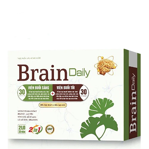 Brain Daily - Hỗ trợ tăng cường tuần hoàn máu não của Medistar