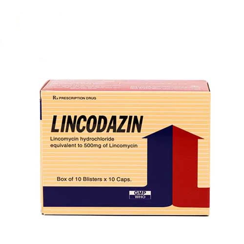 Lincodazin - Thuốc chống nhiễm khuẩn của Vidipha
