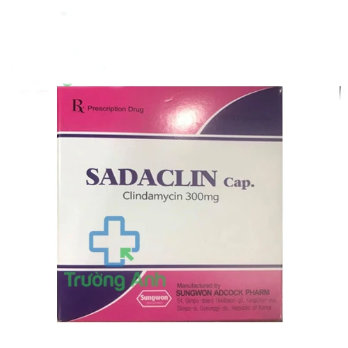 SADACLIN - Thuốc kháng sinh điều trị nhiễm khuẩn hiệu quả 