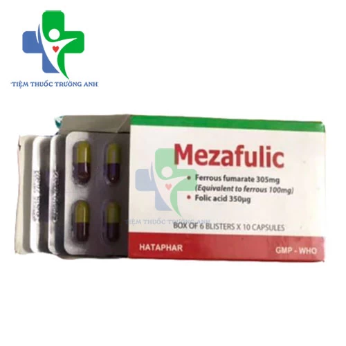 Mezafulic Hataphar - Điều trị và dự phòng thiếu máu do thiếu sắt