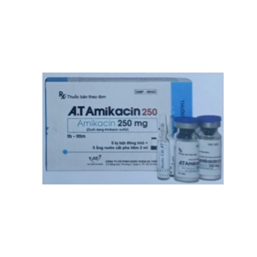 A.T Amikacin 250 - Thuốc điều trị nhiễm khuẩn hiệu quả của An Thiên