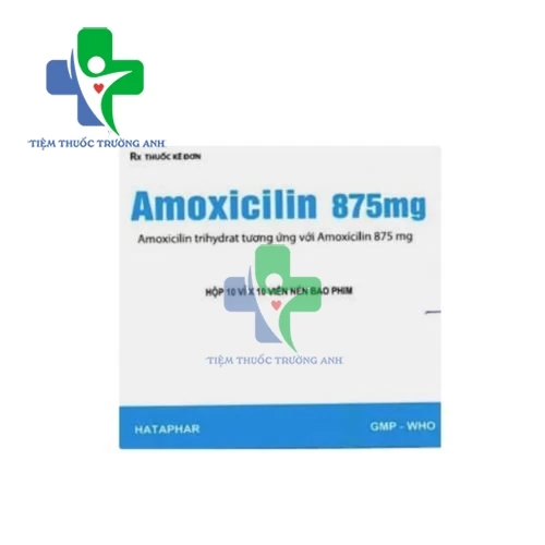 Amoxicilin 875mg Hataphar