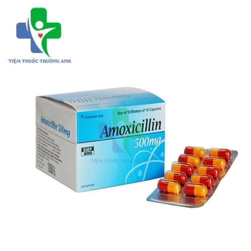 Amoxicillin 500mg Hataphar - Thuốc điều trị nhiễm khuẩn
