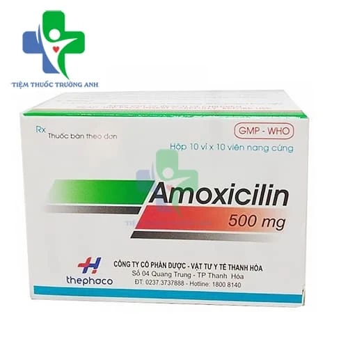 Amoxicillin 500mg Thephaco - Thuốc điều trị nhiễm khuẩn