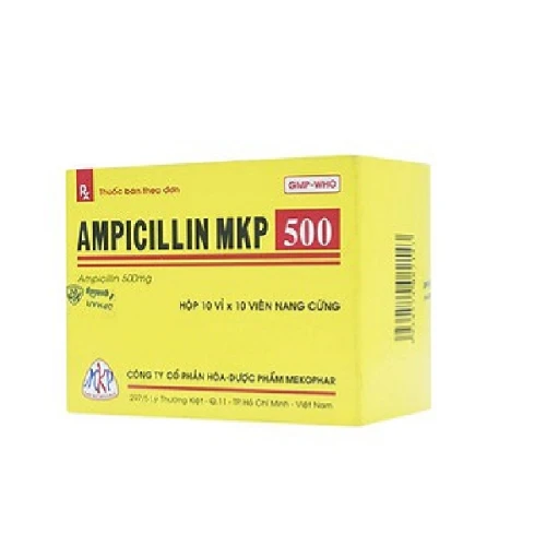 Ampicillin 500Mg Mekophar