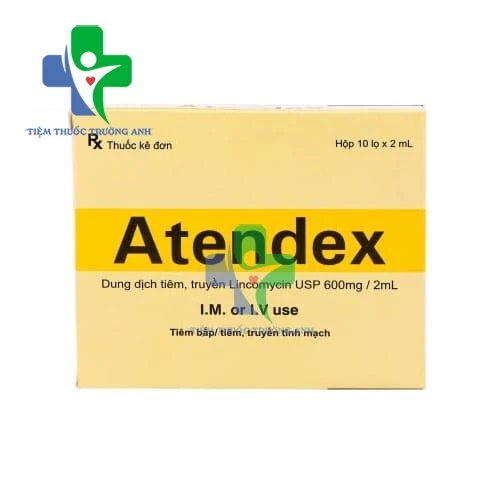 Atendex - Thuốc điều trị nhiễm khuẩn nặng của Ấn Độ