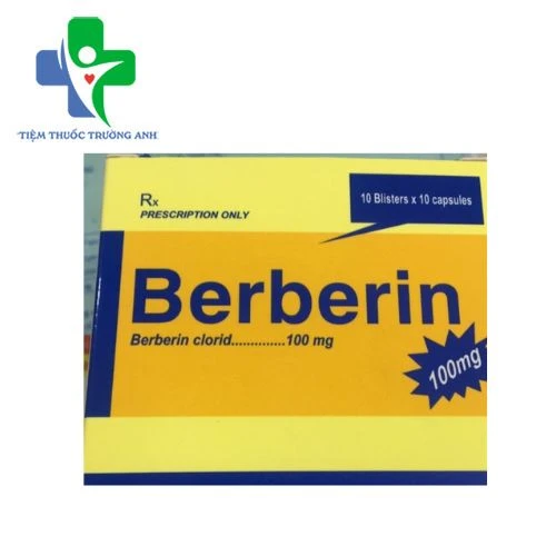 Berberin 100mg Armephaco - Điều trị bệnh lỵ trực khuẩn, hội chứng lỵ
