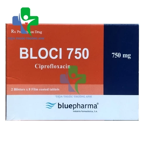 Bloci 750 Bluepharma - Thuốc điều trị nhiễm khuẩn