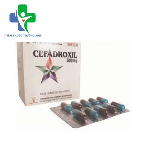 Cefadroxil 500mg Armephaco - Điều trị nhiễm khuẩn do các chủng vi khuẩn