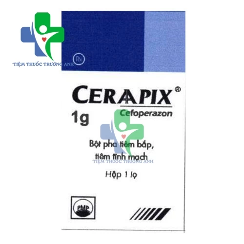 Ceraapix - Thuốc điều trị nhiễm khuẩn hiệu quả