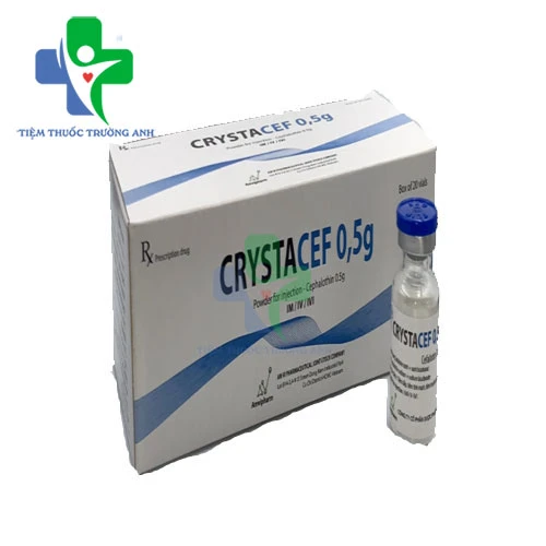 Crystacef 0,5 g Amvipharm - Thuốc điều trị nhiễm khuẩn hiệu quả