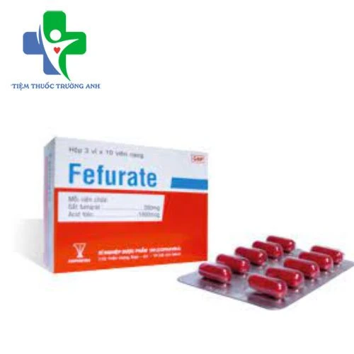Fefurate Armephaco - Phòng ngừa và điều trị thiếu máu