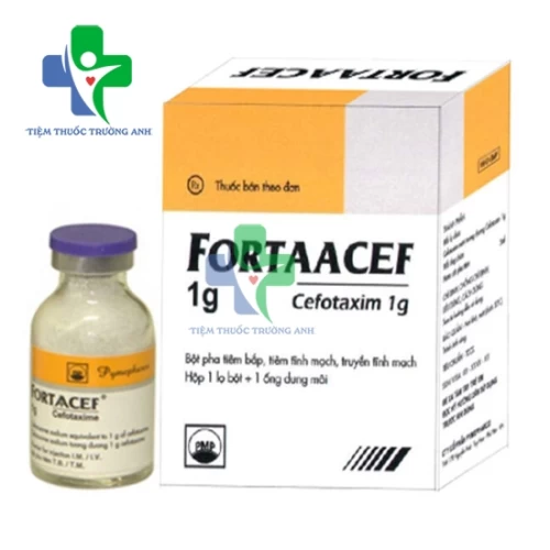 Fortaacef 2g - Thuốc điều trị nhiễm khuẩn hiệu quả