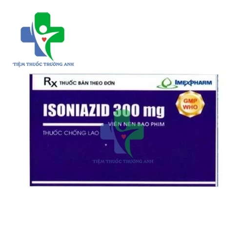 Isoniazid 300mg Imexpharm