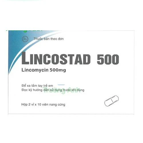 Lincostad 500 - Thuốc điều trị nhiễm khuẩn của Pymepharco