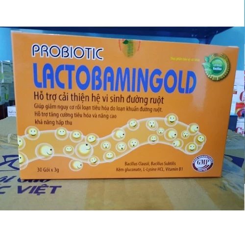 PROBIOTIC LACTOBAMINGOLD - Hỗ trợ cải thiện hệ vi sinh đường ruột