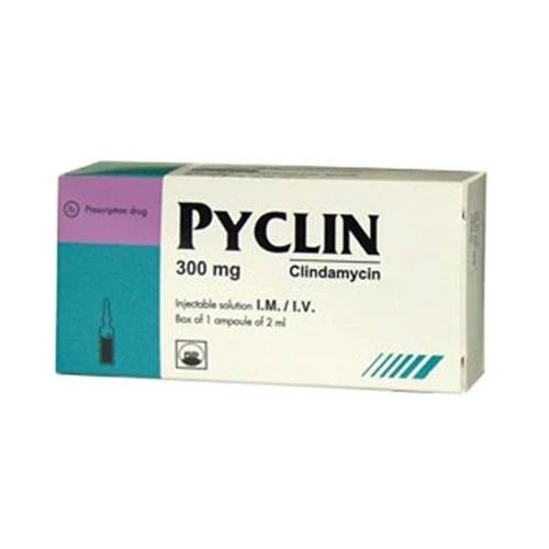 Pyclin 300 - Thuốc điều trị nhiễm khuẩn của Pymepharco