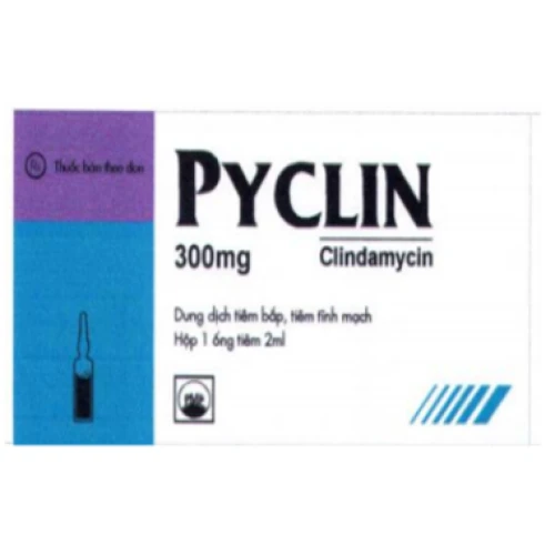 Pyclin 300 tiêm - Thuốc điều trị nhiễm trùng hiệu quả